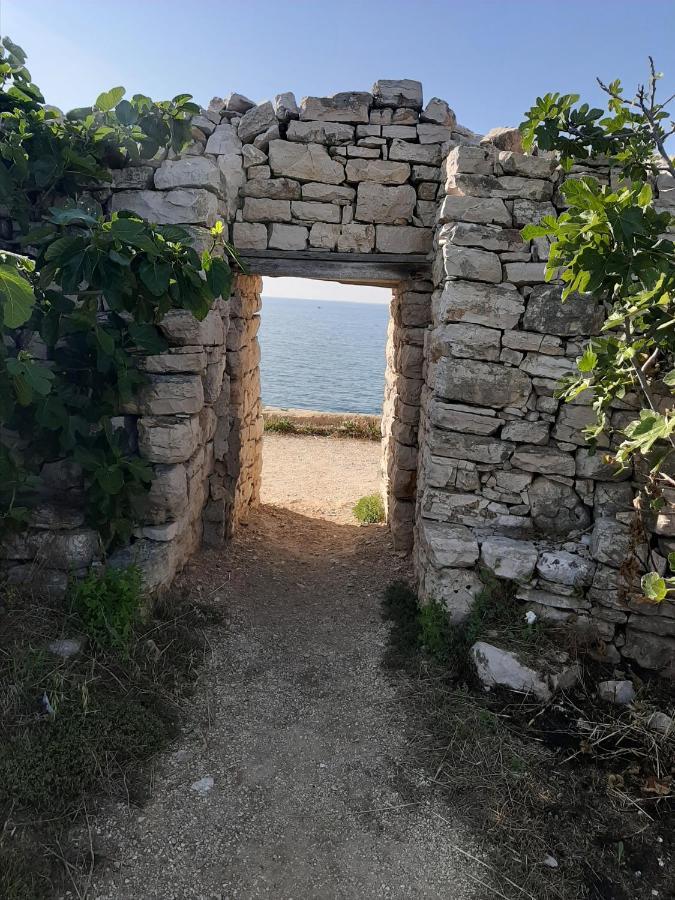 Agora Bisceglie Bed & Breakfast Luaran gambar