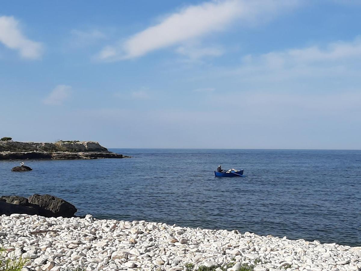 Agora Bisceglie Bed & Breakfast Luaran gambar
